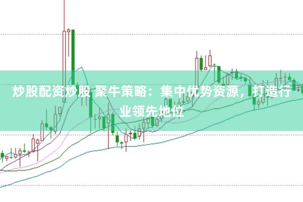 炒股配资炒股 聚牛策略：集中优势资源，打造行业领先地位