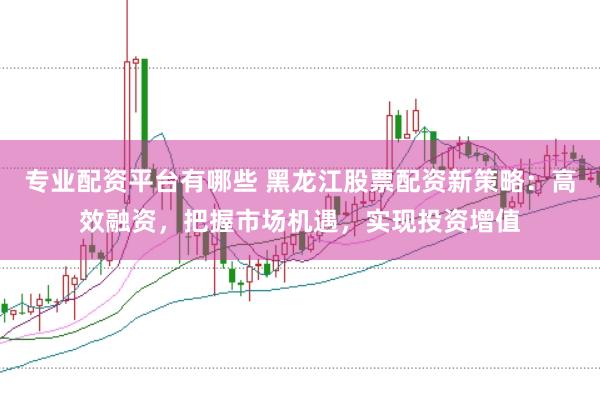 专业配资平台有哪些 黑龙江股票配资新策略：高效融资，把握市场机遇，实现投资增值