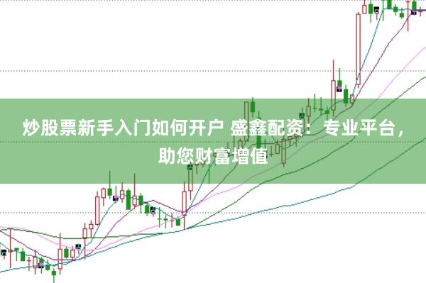 炒股票新手入门如何开户 盛鑫配资：专业平台，助您财富增值