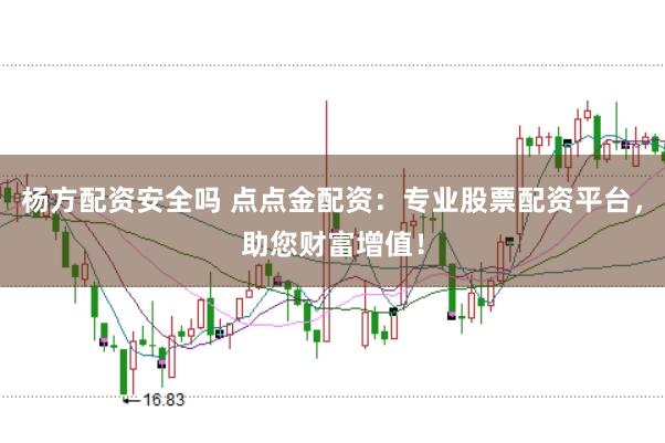 杨方配资安全吗 点点金配资：专业股票配资平台，助您财富增值！