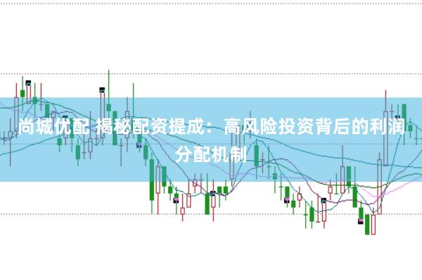 尚城优配 揭秘配资提成：高风险投资背后的利润分配机制