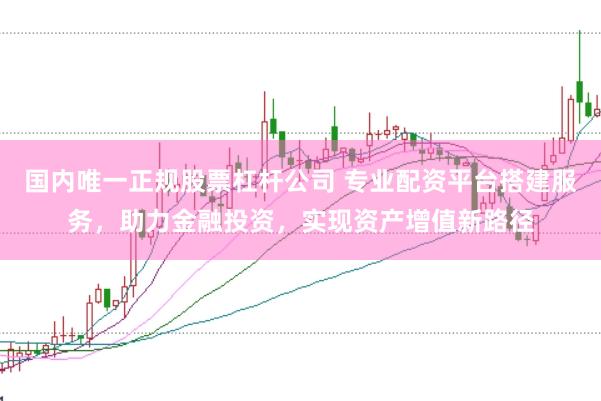 国内唯一正规股票杠杆公司 专业配资平台搭建服务，助力金融投资，实现资产增值新路径