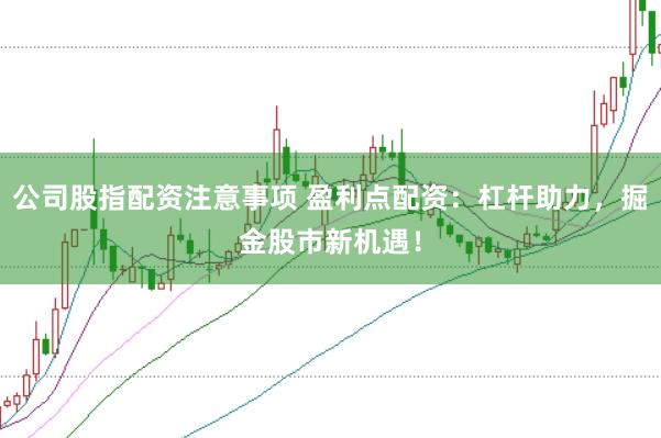 公司股指配资注意事项 盈利点配资：杠杆助力，掘金股市新机遇！