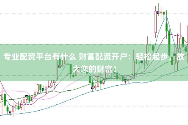 专业配资平台有什么 财富配资开户：轻松起步，放大您的财富！