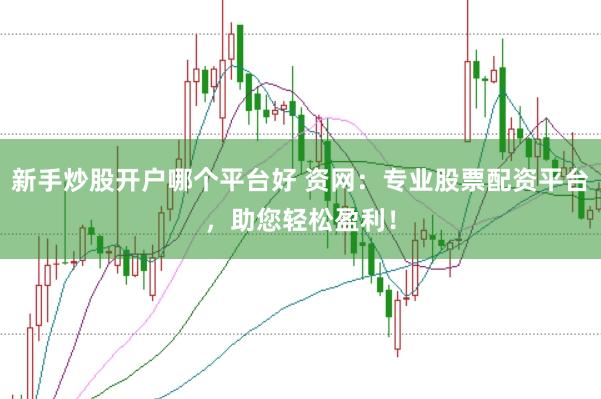 新手炒股开户哪个平台好 资网：专业股票配资平台，助您轻松盈利！