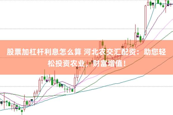 股票加杠杆利息怎么算 河北农交汇配资：助您轻松投资农业，财富增值！