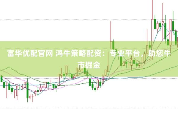 富华优配官网 鸿牛策略配资：专业平台，助您牛市掘金