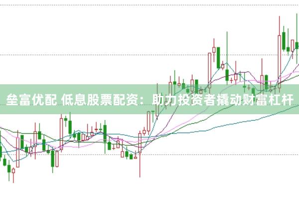 垒富优配 低息股票配资：助力投资者撬动财富杠杆