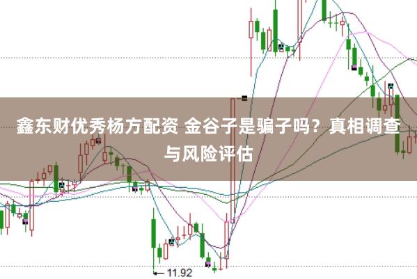 鑫东财优秀杨方配资 金谷子是骗子吗？真相调查与风险评估