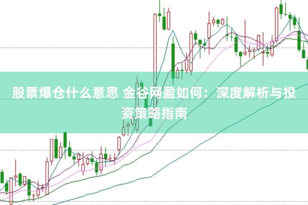 股票爆仓什么意思 金谷网盈如何：深度解析与投资策略指南