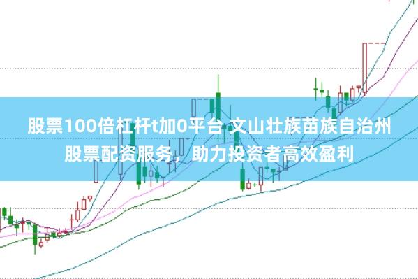 股票100倍杠杆t加0平台 文山壮族苗族自治州股票配资服务，助力投资者高效盈利