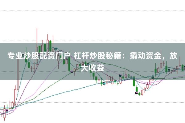 专业炒股配资门户 杠杆炒股秘籍：撬动资金，放大收益