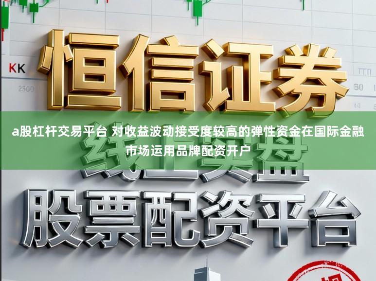 a股杠杆交易平台 对收益波动接受度较高的弹性资金在国际金融市场运用品牌配资开户