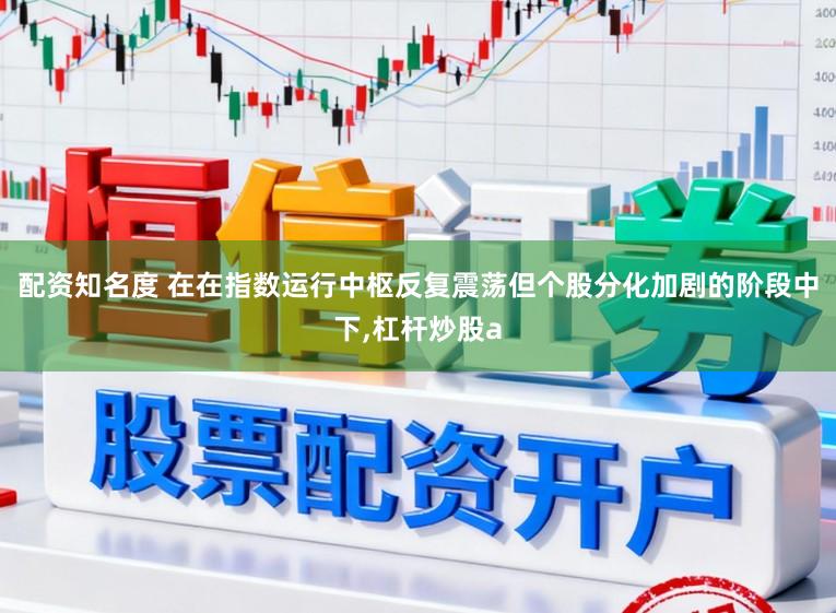 配资知名度 在在指数运行中枢反复震荡但个股分化加剧的阶段中下，杠杆炒股a